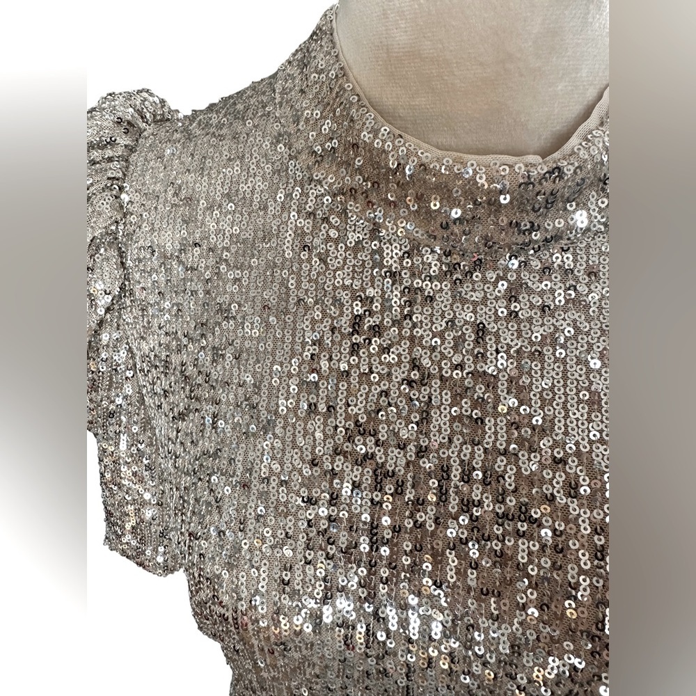 H&M Holiday Collection grey silver puff sleeves midi sequin sparkle dress - Picture 7 of 10